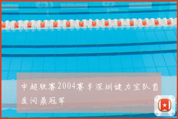 中超联赛2004赛季深圳健力宝队首度问鼎冠军