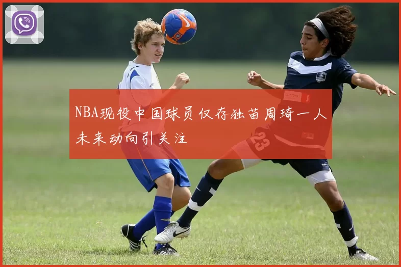 NBA现役中国球员仅存独苗周琦一人未来动向引关注