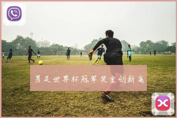 男足世界杯冠军奖金创新高