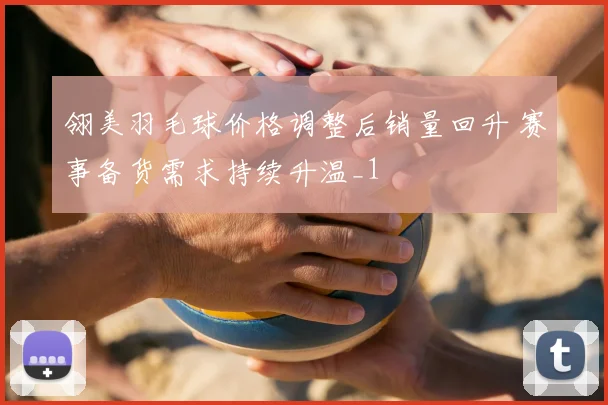 翎美羽毛球价格调整后销量回升 赛事备货需求持续升温_1