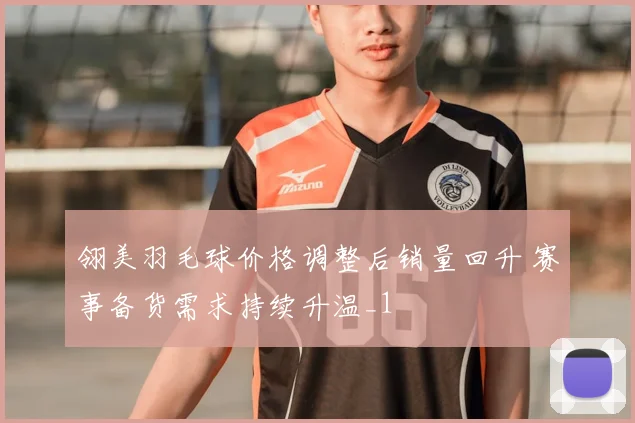 翎美羽毛球价格调整后销量回升 赛事备货需求持续升温_1